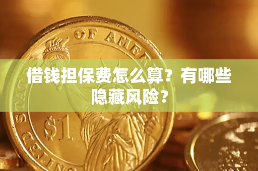 武汉借钱担保费怎么算？有哪些隐藏风险？