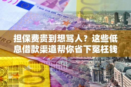 武汉担保费贵到想骂人？这些低息借款渠道帮你省下冤枉钱