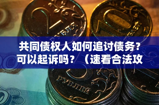 武汉共同债权人如何追讨债务？可以起诉吗？（速看合法攻略）