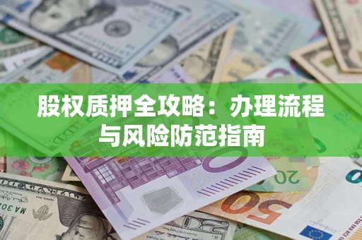 武汉股权质押全攻略：办理流程与风险防范指南