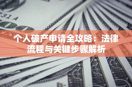 武汉个人破产申请全攻略：法律流程与关键步骤解析