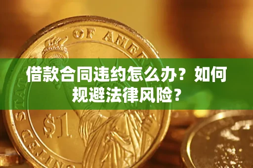 武汉借款合同违约怎么办？如何规避法律风险？